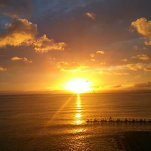 强乳喷自慰爽免费观看
